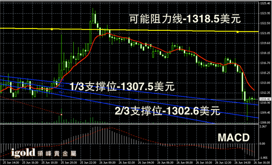 今天金价走势