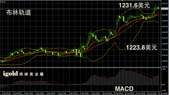 1月12日黄金走势图
