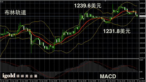1月13日黄金走势图