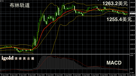 1月16日黄金走势图