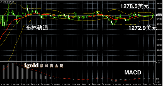 1月19日黄金走势图