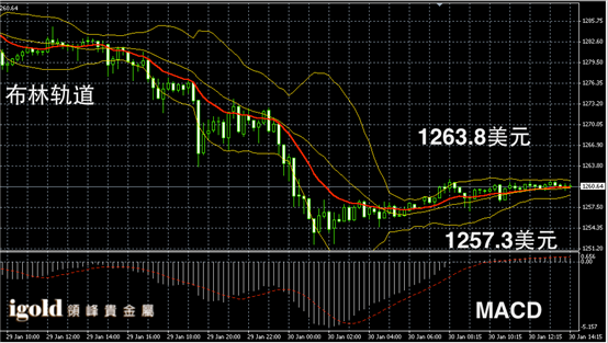1月30日黄金走势图