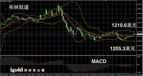 2月20日黄金走势图
