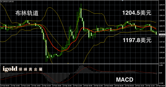 2月24日黄金走势图
