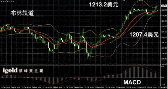 2月25日黄金走势图