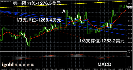 2月5日黄金走势图