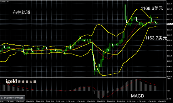 2月8日黄金走势图