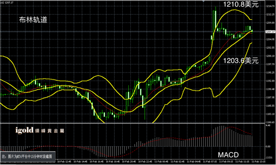 2月11日黄金走势图