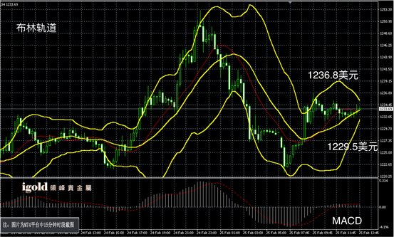 2月25日黄金走势图