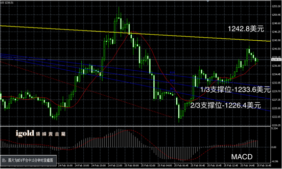 2月25日黄金走势图