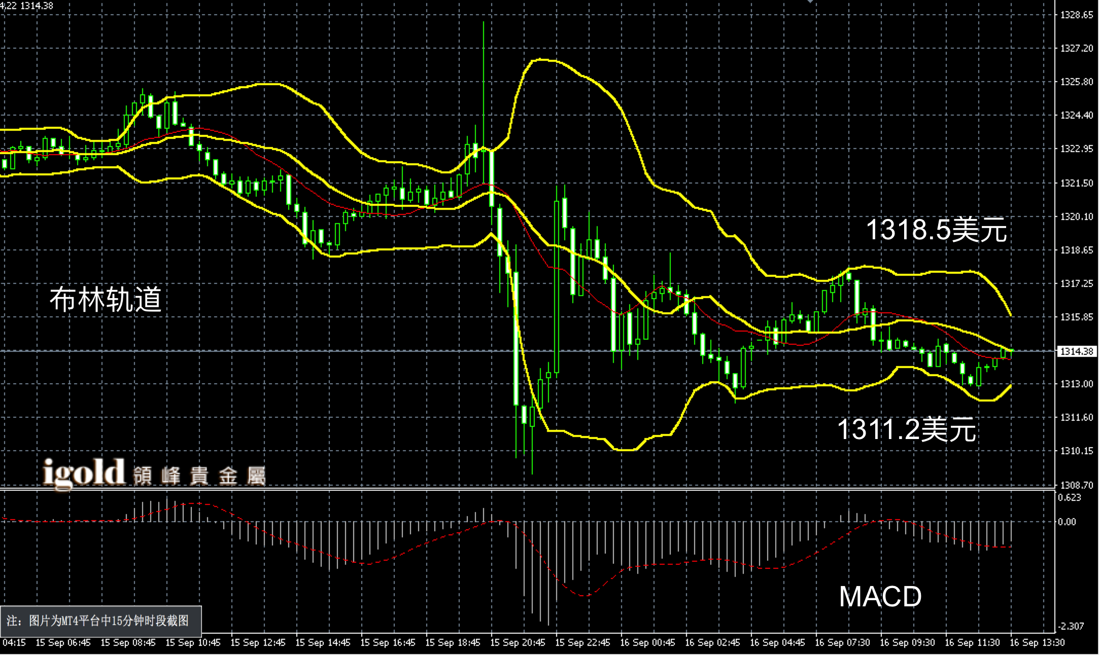 2013年2月16日黄金价格(2013年2月黄金价格多少一克)